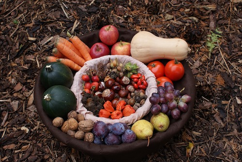 Quels sont les fruits et légumes d'Octobre ?