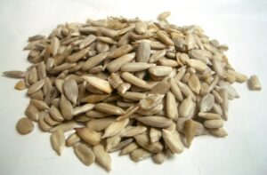 Quels sont les bienfaits des graines de tournesol ?