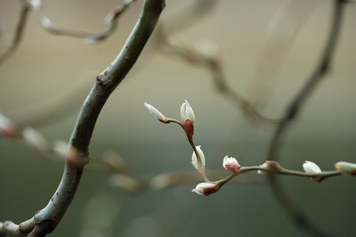 Prevenir les crampes naturellement